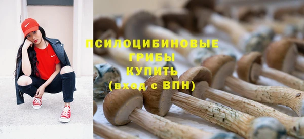 ГАЛЛЮЦИНОГЕННЫЕ ГРИБЫ Переславль-Залесский