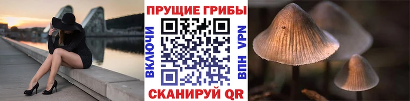 Псилоцибиновые грибы MAGIC MUSHROOMS  Светлоград 